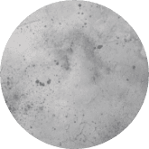 Nahaufnahme einer strukturierten, grauen Oberfläche, die Beton ähnelt.